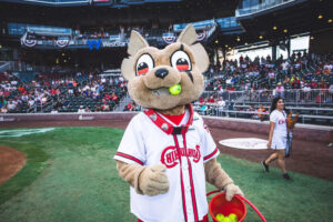 El Paso Chihuahuas texas baseball